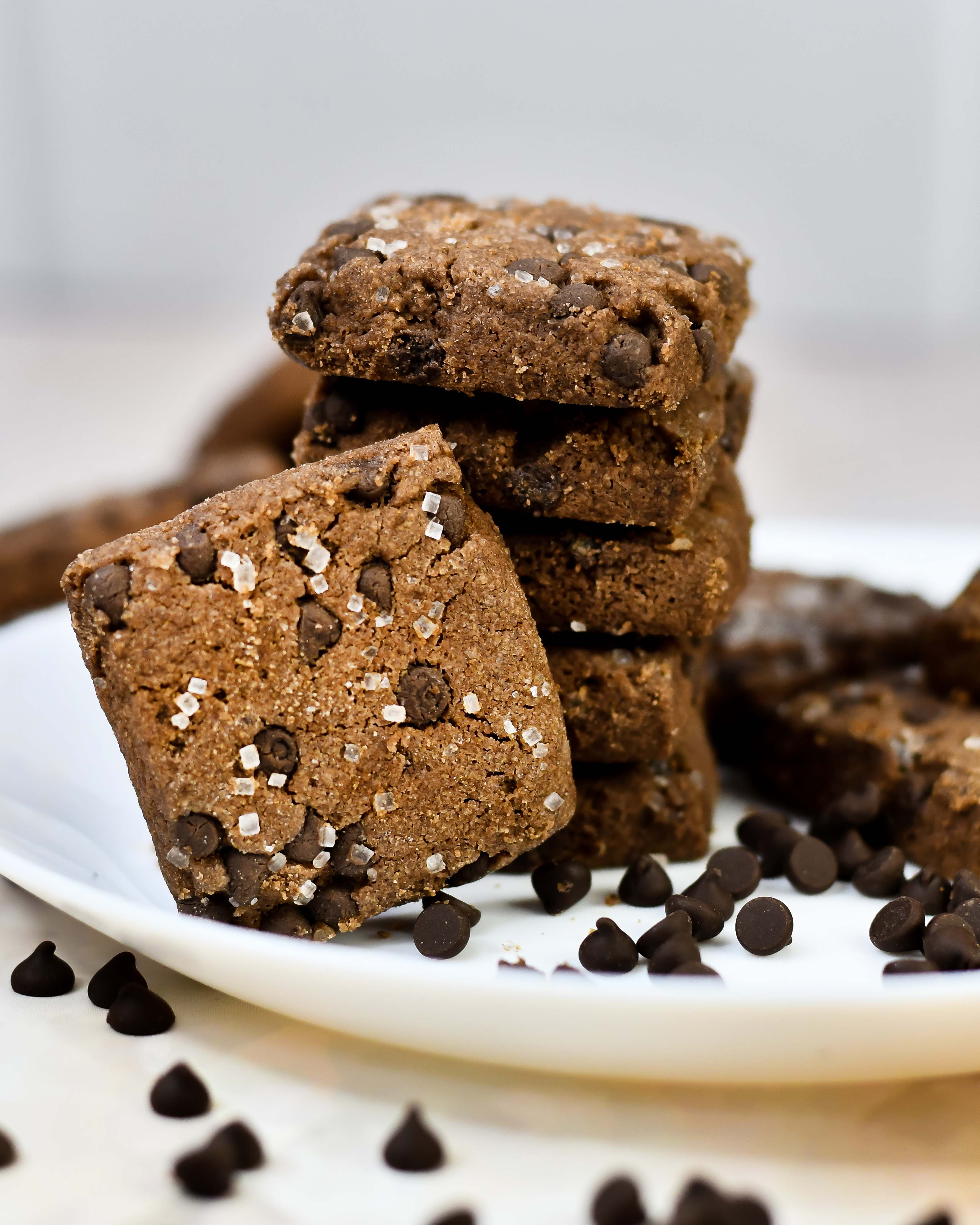 Chocochips Cookies (TIN)