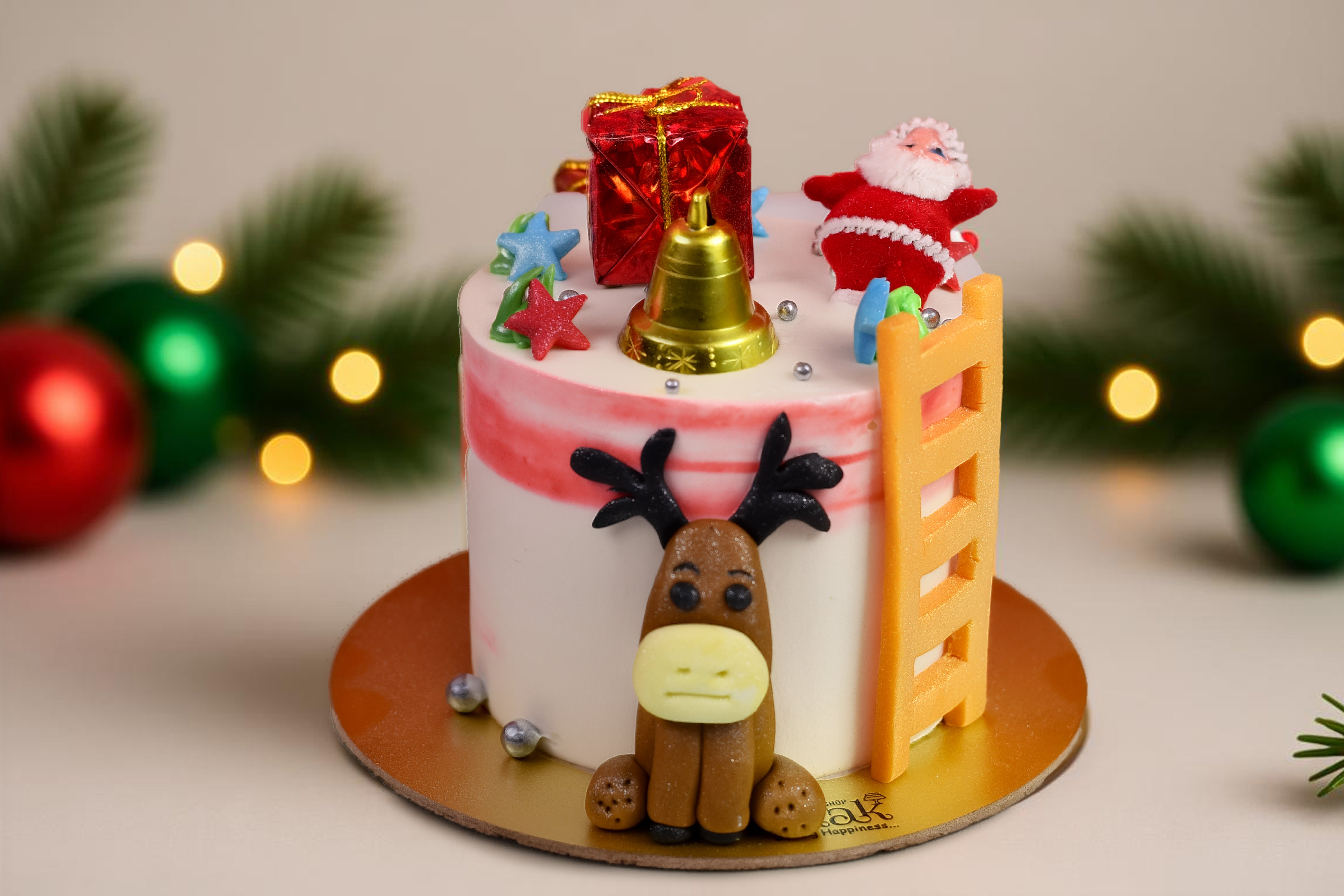 Santa Secret Cake
